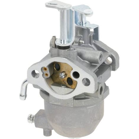 Carburateur BRIGGS & STRATTON FGP456472 (1/5)