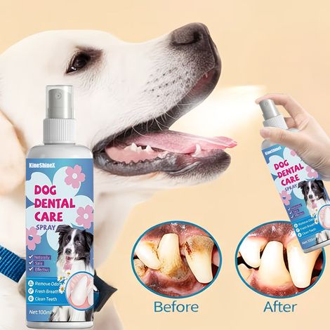 Mundspray für Haustiere, geeignet für Katzen und Hunde, erfrischt den Atem, reinigt die Zähne, entfernt Gerüche und Zahnstein.