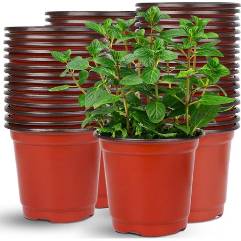 50 pots de semis en plastique de 6 pouces pour une utilisation intérieure et extérieure (1/5)