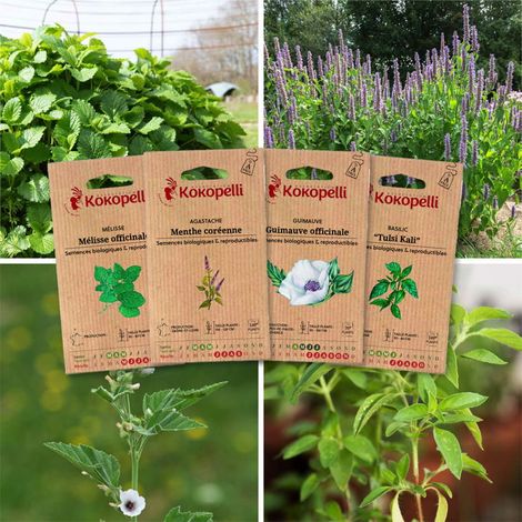 Plantes à tisanes - 4 sachets de graines bio à semer (1/2)