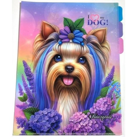 Cartella A4+ in plastica con 3 scomparti, taglia L, per cani.
