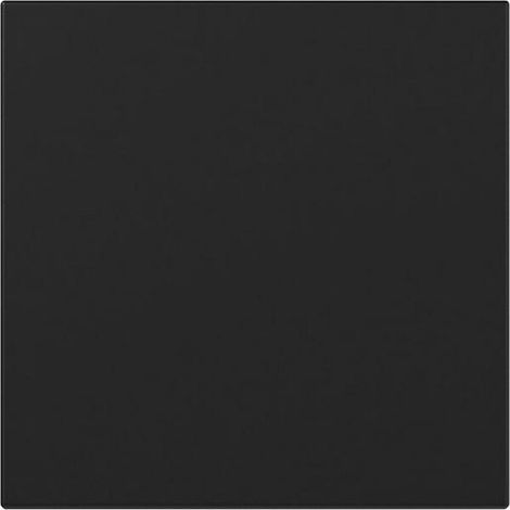 Gira Wippe gerade System 55 Schwarz m [3496005], 3496 005