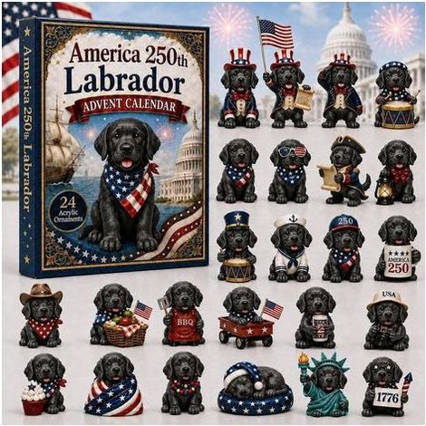 Labrador calendrier avent éd. 250 sem. 2D boîte surprise