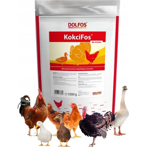 KokciFos 1 kg preparado para aves de corral contra la coccidiosis bacteriana, fúngica y viral. (1/3)