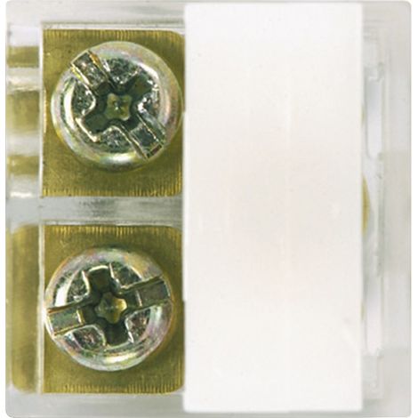 Contact Bouton poussoir pour Module Analogique BTICINO 332718 (1/2)