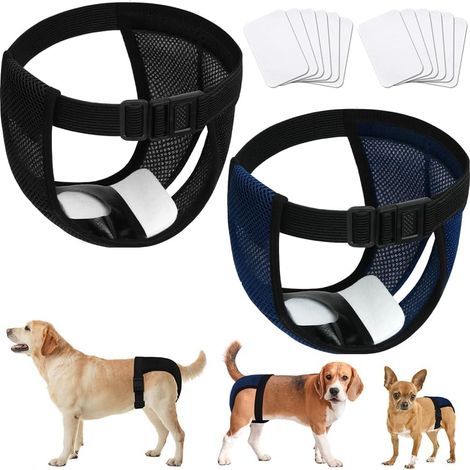 Lot de 2 Culotte Chien, Ceinture Réglable, Maille Coton, 6 Serviettes, Incontinence Chaleur