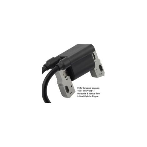 Compatible avec le module de bobine d'allumage 394891 590781 et le rotor de magnéto pour moteur bicylindre en L horizontal et vertical 392329 394895 394988 42A707 42A777 16 CV 17 CV 18 CV Tondeuse à g