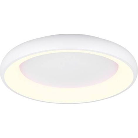 Luminaria superficie CYCLE, 60W, 610mm, CCT, blanco, 3000-4000-6000K (1/5)