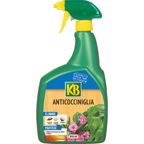 1PZ OLIO DI COLZA ANTI COCCINIGLIA Ml. 800