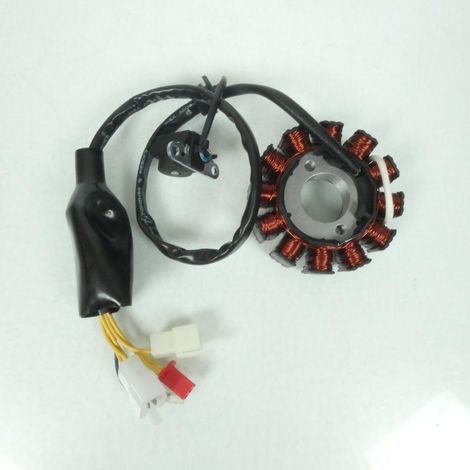 Lichtmaschine original für Zweirad Sym 31120-F7S-0000 / 6A200051 (1/5)