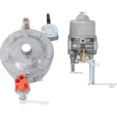 Carburateur double carburant GPL/GN 1 kW, accessoire de remplacement pour groupes électrogènes 154f et 156f (1/5)