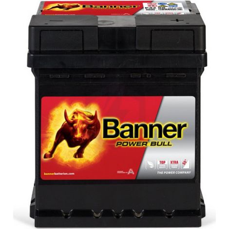 Banner Power Bull P4208 12v 42AH 390A L0D