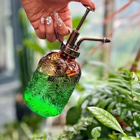Arroseur manuel en verre de 360 ml - Convient aux plantes en pot de jardin (1/4)
