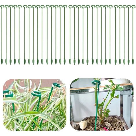 Paquet de 30 piquets de support pour plantes, piquet pour plantes, tige de support pour plantes avec cage à anneau de support (17 cm/6,69 pouces) (1/5)