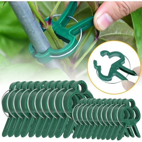 Lot de 100 Clips pour Plantes – Supports pour Fleurs, Vignes et Tomates, 50 Petits + 50 Grands Clips (1/5)