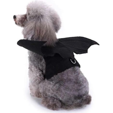 Alas de murciélago para mascotas, Halloween, perro negro genial (1/5)