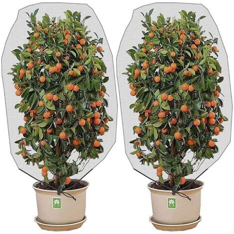 Filet anti-insectes avec cordon de serrage (1,2 x 0,8 m, lot de 2) - Filet de protection pour plantes, fruits et fleurs des insectes et des oiseaux (1/5)