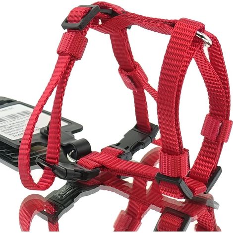 Nobby – Harnais pour chien Classic – Rouge, taille XS-S, tour de poitrine 20 à 35 cm, nylon (1/2)