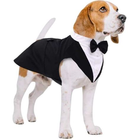 Costume chien smoking élégant pour cérémonie – bandana avec nœud papillon et chemise ajustable, taille grand/moyen, noir ou blanc (1/4)
