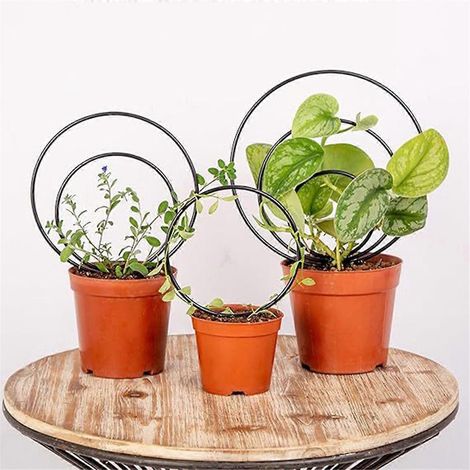 Treillis ronds d'intérieur pour plantes grimpantes, structures métalliques, B (1/5)