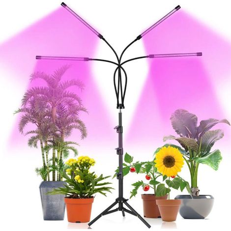 Lampe de croissance LED pour plantes d'intérieur, spectre complet 80 W, avec 4 têtes de lampe flexibles, col de cygne réglable, 3 modes d'éclairage et minuterie automatique.-AquaForge (1/5)