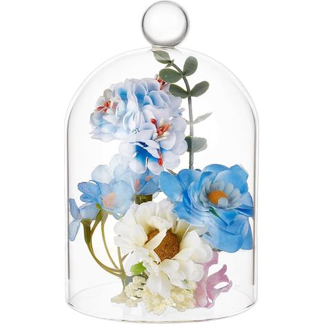 Cloche en Verre 99x154mm, Cloche à Fromage en Dôme, Cloche de Présentation pour Plantes, Figurines, Briques, Lumières LED et Bougies (1/5)
