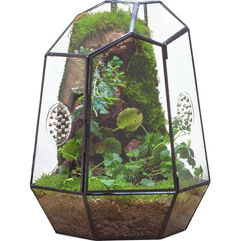 Terrarium en Verre Géométrique Serre Fermée pour Plantes et Mousse Petit Écosystème Décoratif d'Intérieur (1/5)