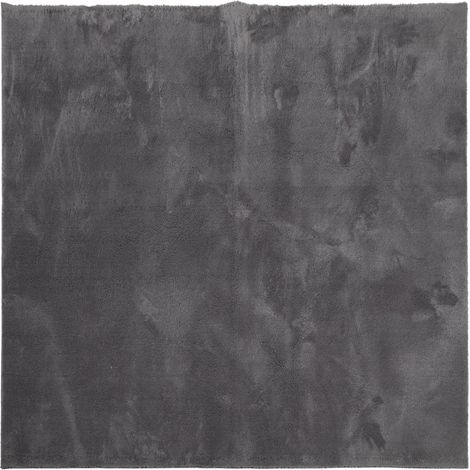 Maison Exclusive - Tapis HUARTE à poils courts doux lavable anthracite 200x200 cm