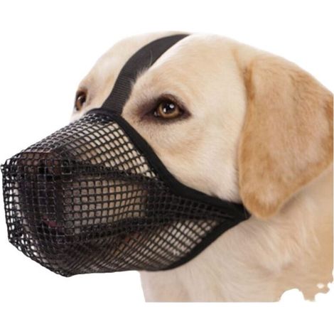 Muselière pour Chiens à Museau Court Maille Muselière Bouledogue Français Chien Respirant Masque Muselière Plate Anti Morsure Mastication Aboiement pour Bouledogue Français Shih Tzu Et Carlin,M (1/4)