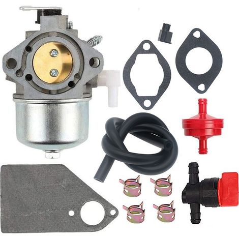 690119 694526 690115 690111 Carburateur 10 CV 5-4993 Moteur de tracteur (1/5)