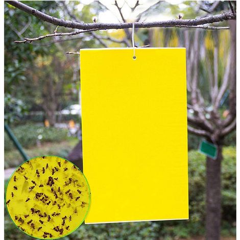 50 Feuilles Adhésives Double Face Anti Moucherons 25cm x 20cm Jaune pour Capturer Mouches Pucerons et Insectes Nuisibles-AUTRES (1/5)
