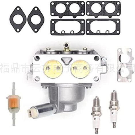 Vergaser kompatibel mit Briggs & Stratton 405777 406777 446677 445577 40G777 791230 für Schneefräse (1/5)