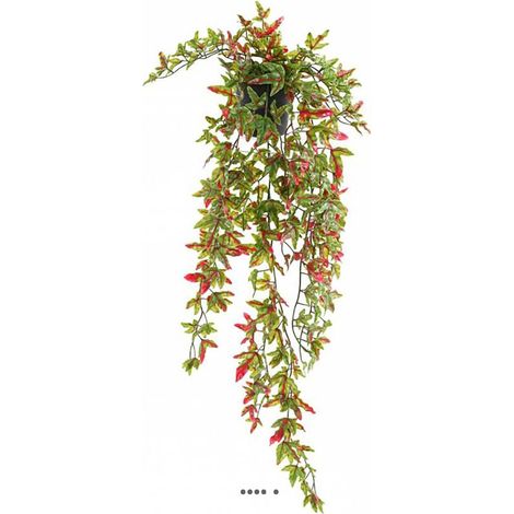 Lierre artificiel plastique en pot retombant extérieur L 70 cm vert/rouge (1/3)