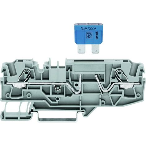 Connettore a 2 fili, fusibile da 6 mm², colore grigio, per Topjobs, codice 2006-1681/1000-434 (1/3)