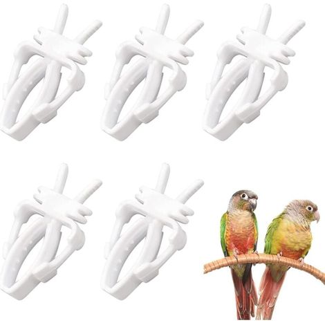 ZVD Pinza para fruta de pájaros, herramienta para fruta de loros, soporte para comida de pájaros, comedero para jaula de pájaros, comedero para pájaros, comedero para jaula de pájaros, 5 piezas (1/4)