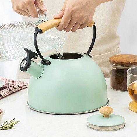 Bouilloire chauffante de 3 litres en acier inoxydable avec sifflet (1/4)