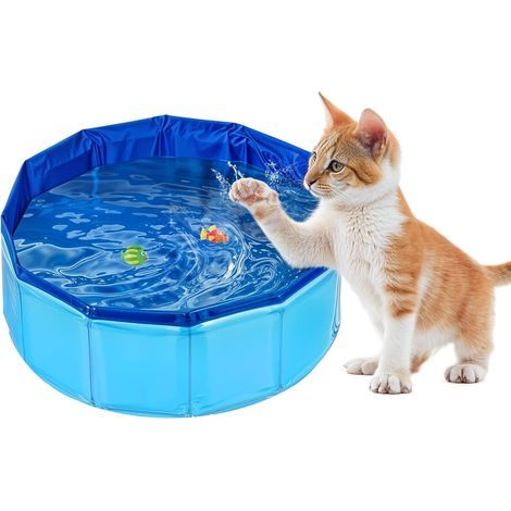 Piscine pour chat - Pliable - En PVC - Antidérapante et résistante à l'usure - Pour chien et chat - 30 x 11 cm (1/4)