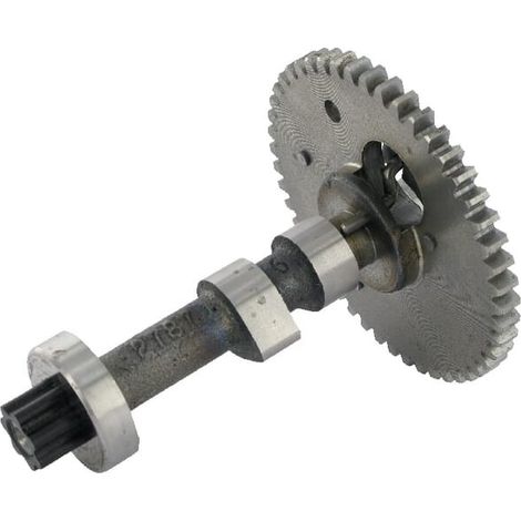 Arbre à cames BRIGGS ET STRATTON 797242