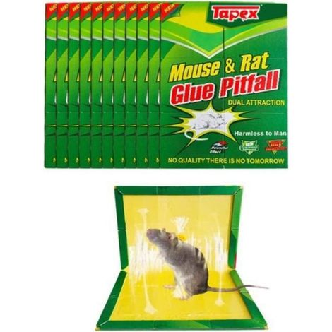 Piège À Souris - Plaque De Glu Adhésive - 21 X 35 Cm - Pour Maison Cuisine Bureau Entrepôt - Lot De 10 (1/5)