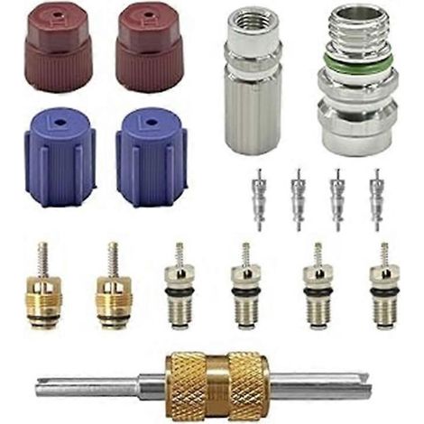 Kit de 17 obus de valve R134a/R12 pour climatisation avec outil de démontage et bouchons d'étanchéité pour port de service haute et basse pression pour véhicules et systèmes de climatisation. (1/5)
