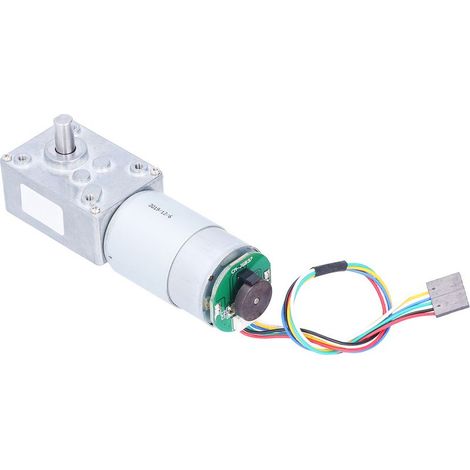 Moteur Réducteur 24V à Engrenage Vis sans Fin, 27 RPM avec Encodeur et Système Autoblocage, Couple Élevé