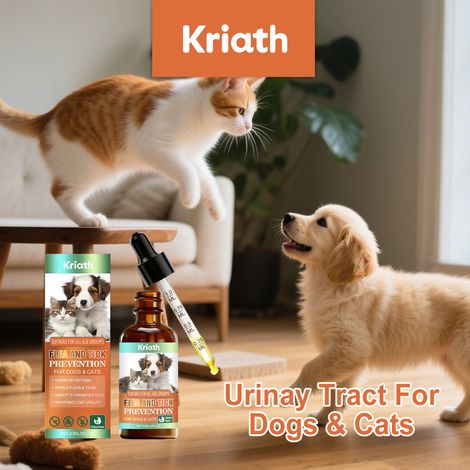 Gouttes de soin corporel pour animaux - nutrition douce pour un pelage soyeux et soin quotidien de la peau - 60 ml (1/5)