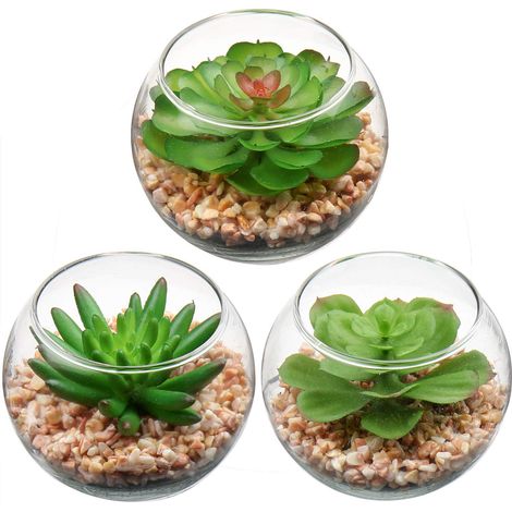 Lot de 3 Mini Plantes succulentes artificielles Assorties dans des Pots en Verre - Décoration pour Maison, Salle de Bain, Chambre à Coucher, Table, Bureau, étagère intérieure (1/5)
