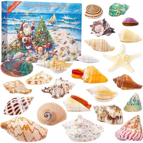 Adventskalender mit Ozeanmotiven für Weihnachten 2026 – 24-tägiger Countdown-Kalender mit 24 exklusiven, sammelbaren Muscheln zum Thema Ozea (1/5)