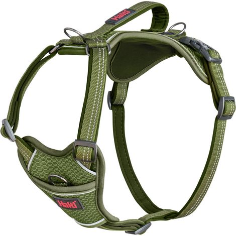 Imbracatura per Cani Company of Animals Verde XS 20-32 cm (1/4)