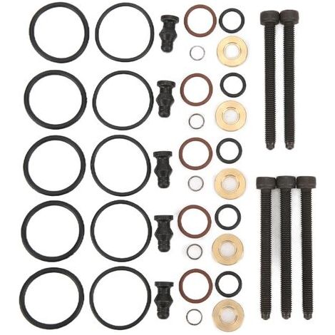 RHG Kit de joints d'injecteur de carburant de voiture avec 5 boulons 038198051B de remplacement pour 2.5TDI R5 128kw 174hp 2003-2010 (1/5)