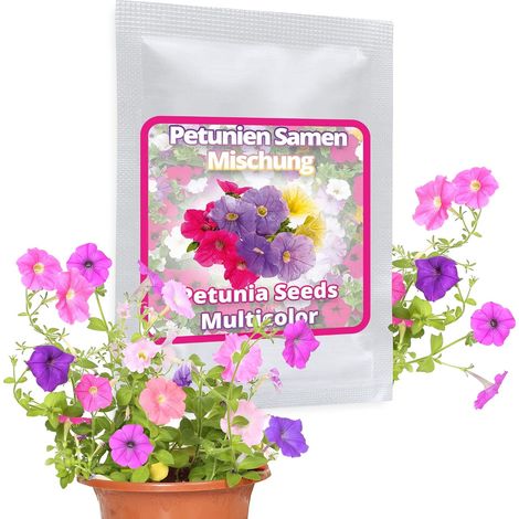 : Graines de Pétunia env. 250 Pcs - Mélange Multiflore (1/5)