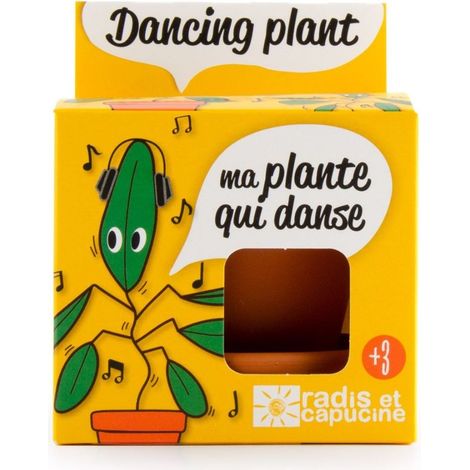 Pot avec coupelle - Plante qui danse - 8 cm