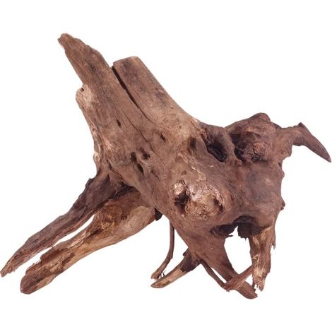 M Driftwood Flußwurzel Nr.4829 Holz Deko Aquascaping
