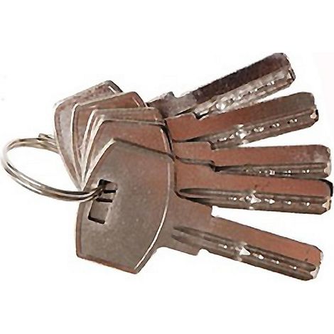AMIG llavin cerrojo seguridad 2500 laton , Llave de latón en bruto Mod.2500, 6138. Para todos los cerrojos de seguridad.
- Acero.
- Niquelado.
- 0.0150 kg.
- Caja de 10 unidades.